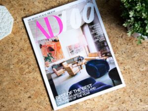 Luffy Fashion Magazine: The Rising Star of Style and Pop Culture