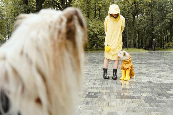 matching outfits with your dog