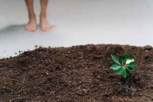 Fashion Carbon Footprint: Where Clothing Emissions Come From